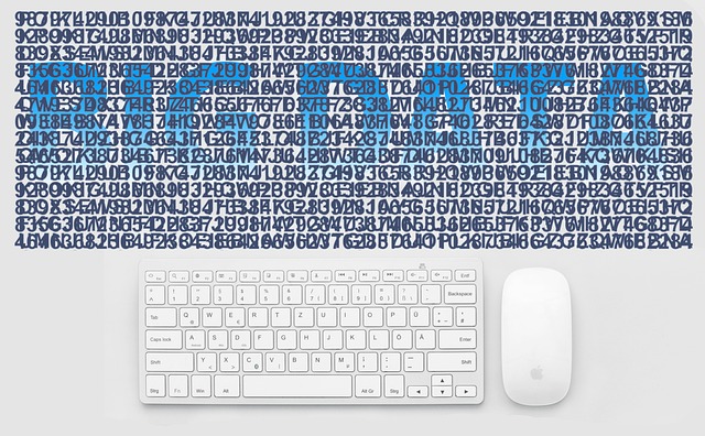 Data over instinkt: Sloif baner vej for fremtidens forretningsstrategi